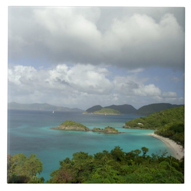 Caribbean, U.S. Virgin Islands, St. John, Trunk 3 Kakelplatta (Framsidan)