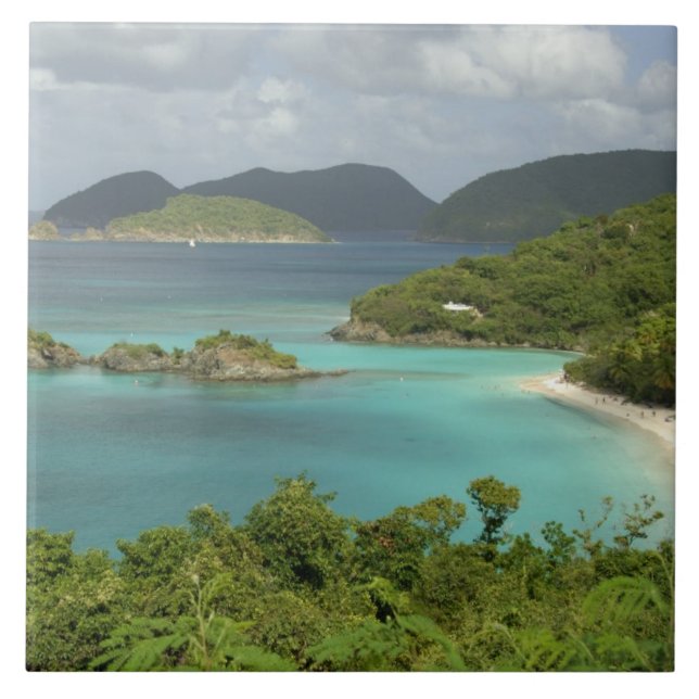 Caribbean, U.S. Virgin Islands, St. John, Trunk Kakelplatta (Framsidan)