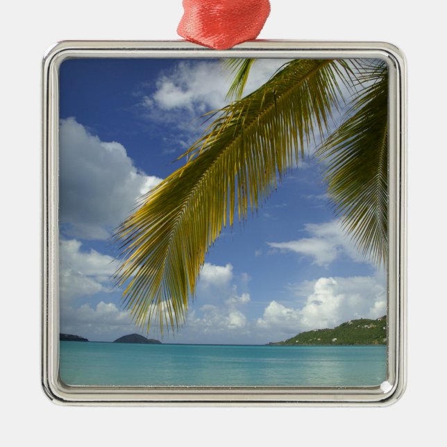Caribbean, U.S. Virgin Islands, St. Thomas, Julgransprydnad Metall (Framsidan)