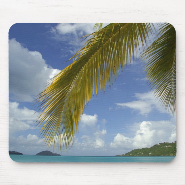 Caribbean, U.S. Virgin Islands, St. Thomas, Musmatta (Framsidan)