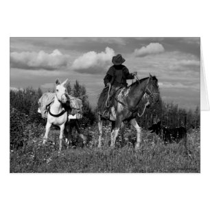 Cariboo Cowboy Horse and Mule Gifts Hälsningskort