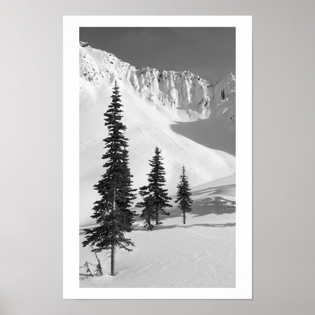 Cariboos: Small Slide Poster (Framsidan)