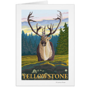 Caribou i vilden - Yellowstone medborgare Hälsningskort