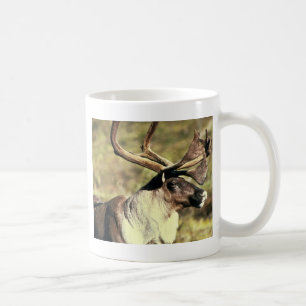 Caribou Kaffemugg