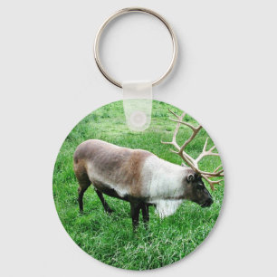 Caribou Nyckelring