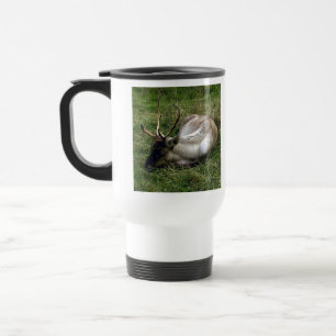 Caribou Resemugg