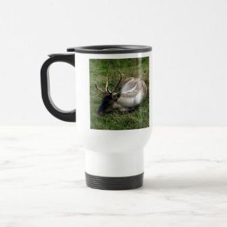 Caribou Resemugg