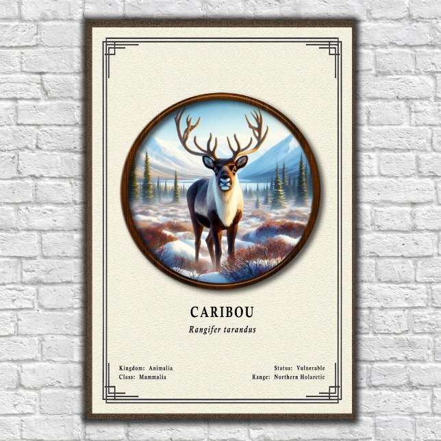 Caribou Zoologi Serie Poster (Skapare uppladdad)
