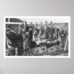 Cariboujägare Alaska 1928 Poster