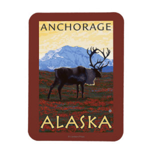 Caribouplats - ankring, Alaska Magnet