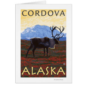 Caribouplats - Cordova, Alaska Hälsningskort