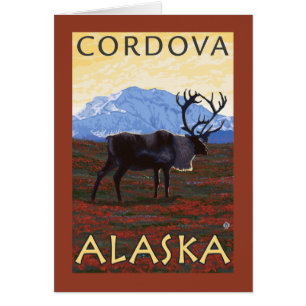 Caribouplats - Cordova, Alaska Hälsningskort