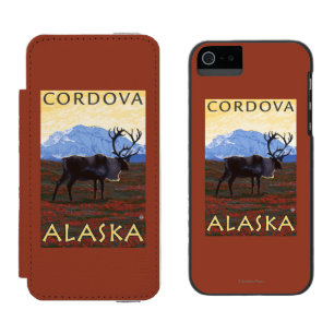 Caribouplats - Cordova, Alaska