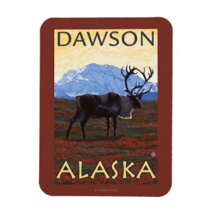 Caribouplats - Dawson, Alaska Magnet