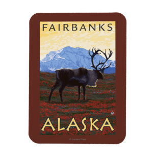 Caribouplats - Fairbanks, Alaska Magnet