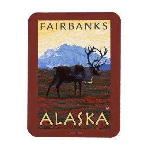 Caribouplats - Fairbanks, Alaska Magnet
