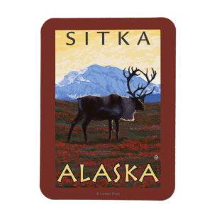 Caribouplats - Sitka, Alaska Magnet