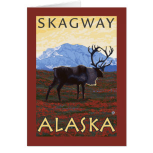 Caribouplats - Skagway, Alaska Hälsningskort