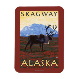 Caribouplats - Skagway, Alaska Magnet