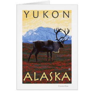 Caribouplats - Yukon, Alaska Hälsningskort