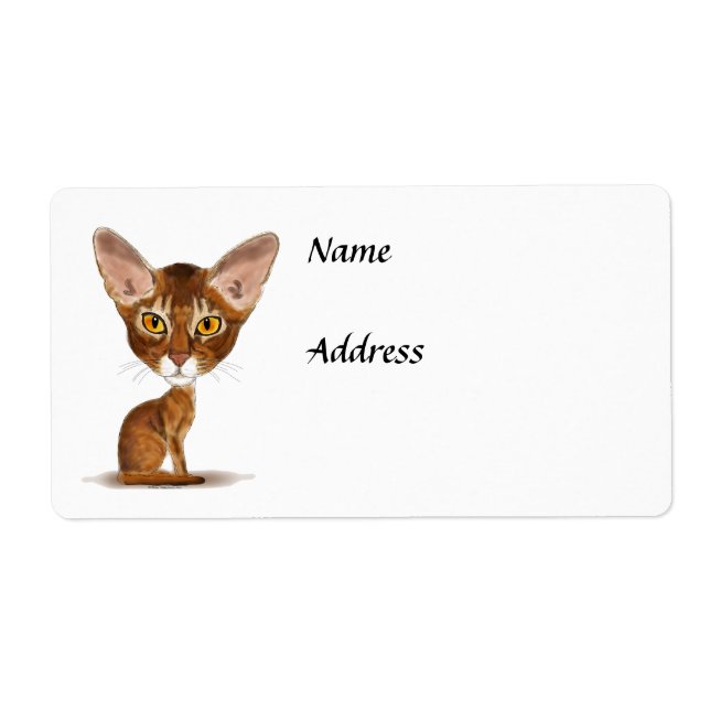 Caricature Abyssinian Fraktsedel (Framsidan)