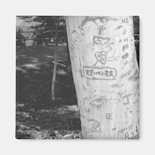 Caring on birch träd trunk B&W Magnet (Framsidan)