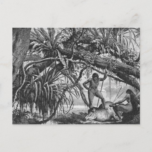 Caripuna Indians med tapir Vykort (Framsida)