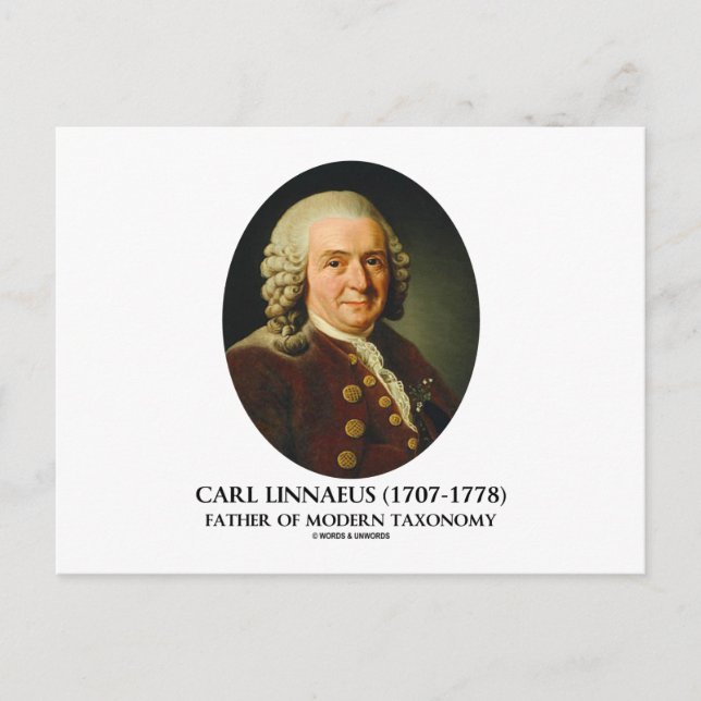 Carl Linnaeus Far av modern taxonomi Vykort (Framsida)
