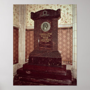 Carl Linnaeus grav Poster