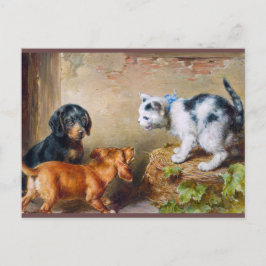 Carl Reichert Painting Modigare Kitten Postcross Vykort