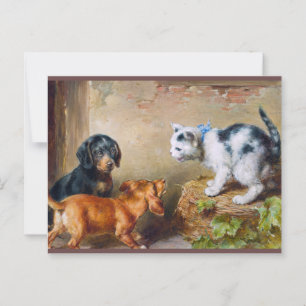 Carl Reichert Painting Modigare Kitten Postcross Vykort