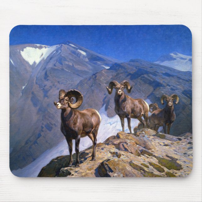 Carl Rungius Big Horn Sheep på Wilcox Pass Musmatta (Framsidan)
