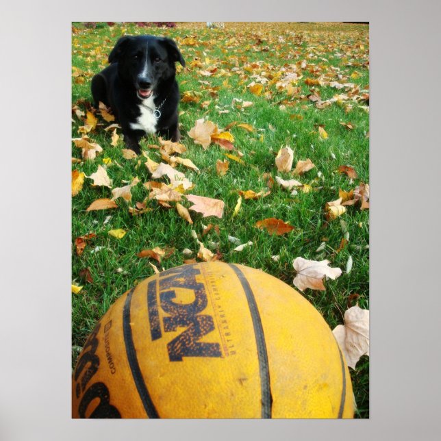 Carlee Poster (Framsidan)