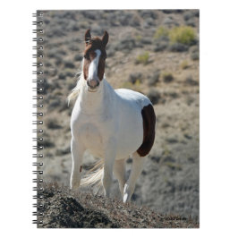 Carlitos of Sand Tvätta Basin Anteckningsbok