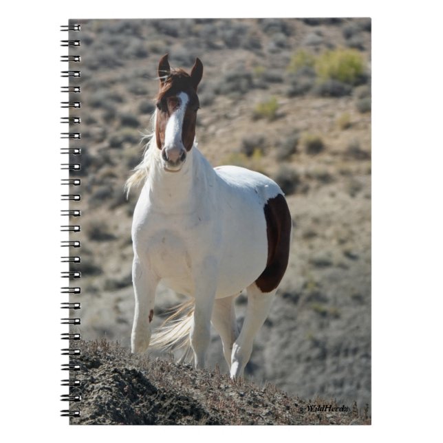 Carlitos of Sand Tvätta Basin Anteckningsbok (Framsidan)