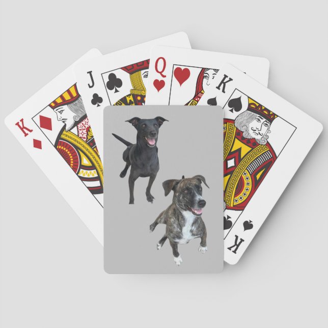 Carlos hundar casinokort (Baksidan)