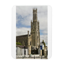Carlow-katedralen Antagningskatolska kyrkan, Irlan