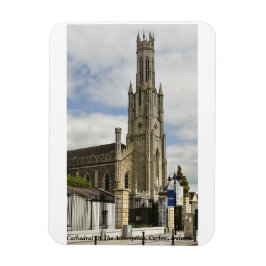 Carlow-katedralen Antagningskatolska kyrkan, Irlan Magnet