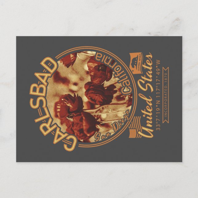 CARLSBAD CALIFORNIA - CARLSBAD FLOWER FÄLT VYKORT (Framsida)