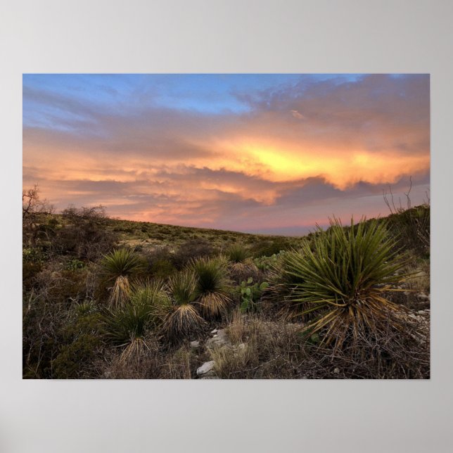 Carlsbad Caverns Desert Poster (Framsidan)