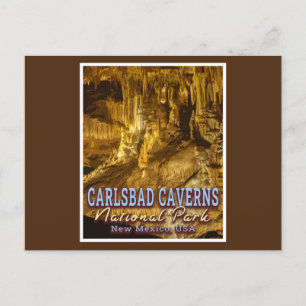 CARLSBAD CAVERNS NATIONAL PARK - NEW MEXICO VYKORT