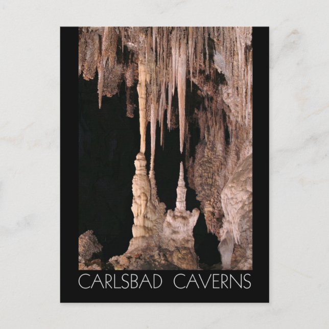Carlsbad Caverns nationalpark, New mexico Vykort (Framsida)