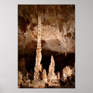 Carlsbad Caverns - Totem Pole Poster