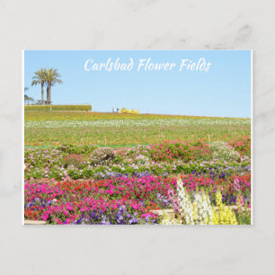 Carlsbad Flower Fält vykort