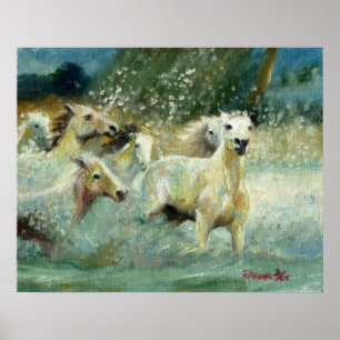 Carmargue Horse Porträtt Poster