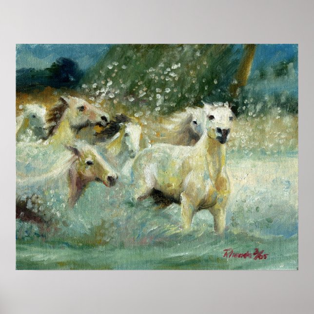 Carmargue Horse Porträtt Poster (Framsidan)