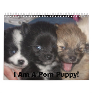 Carmas Pomeranians Kalender