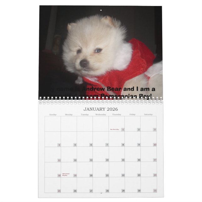 Carmas Pomeranians Kalender (Jan 2026)