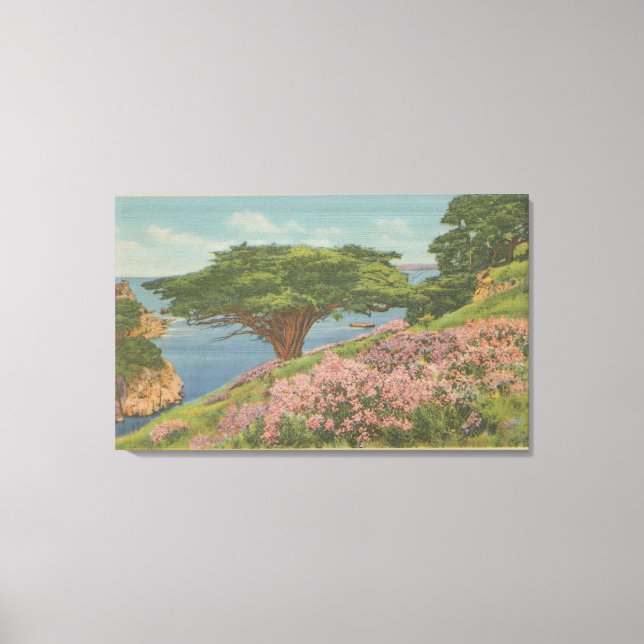 Carmel Bay, CA - View of "Old Veteran" Träd Canvastryck (Framsida)