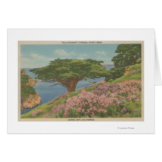Carmel Bay, CA - View of "Old Veteran" Träd Hälsningskort (Framsidan Horizontal)